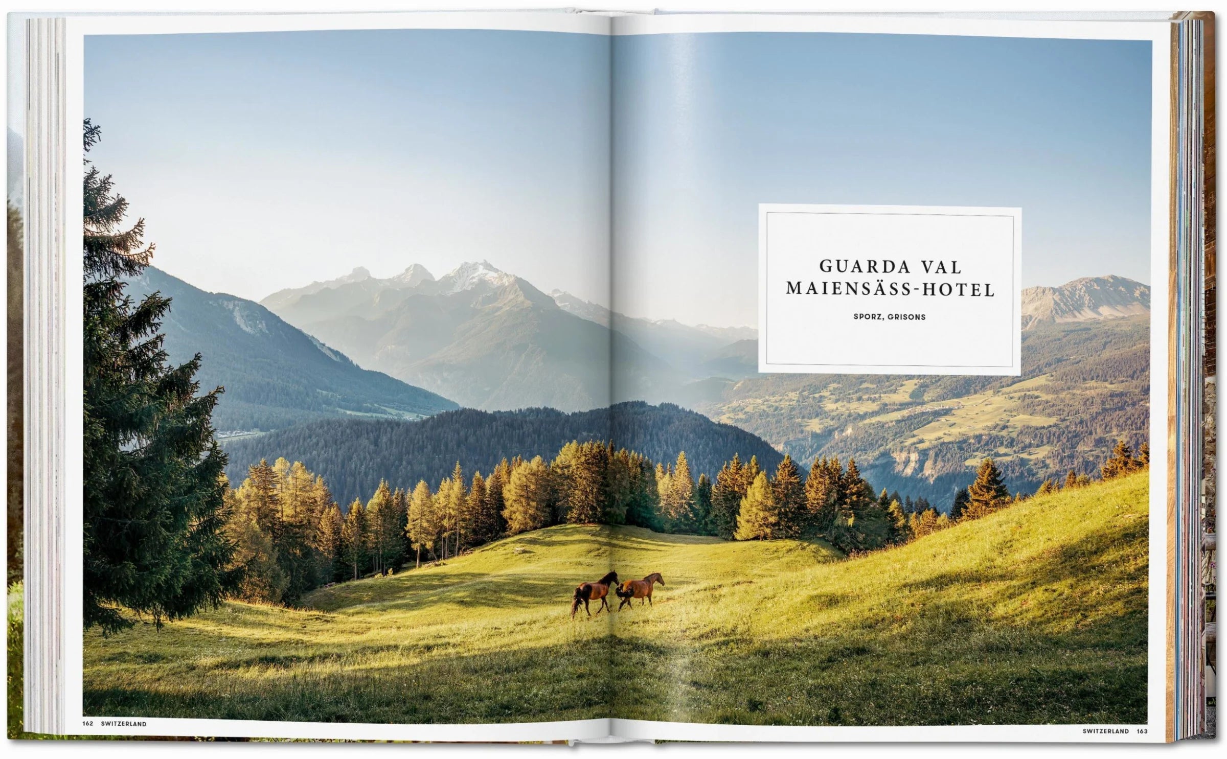 Great Escapes Alps The Hotel Book