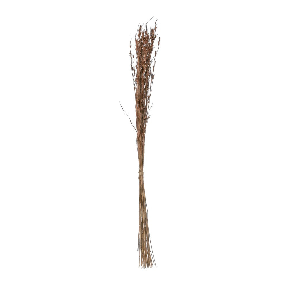 43-1/2"H Dried Natural Red Grass Bunch