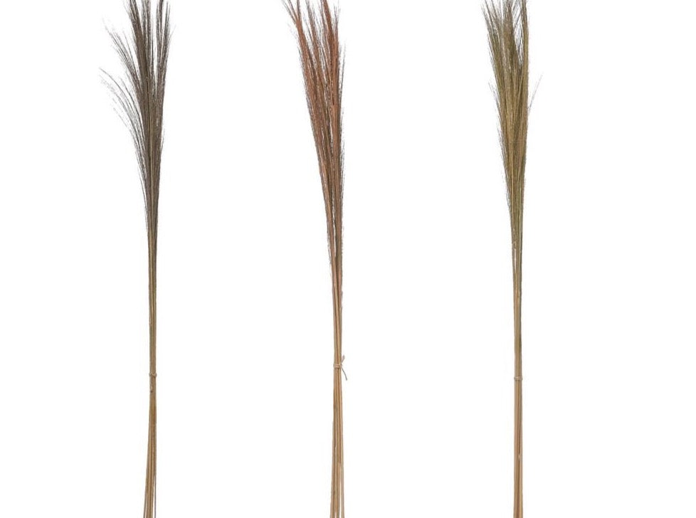 43"L Dried Cortaderia Argentea Bouquet