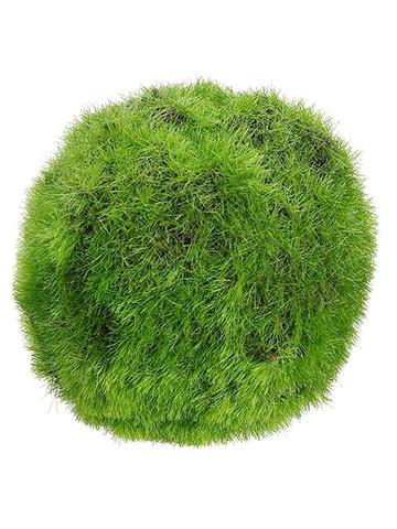 3″ Moss Ball Green