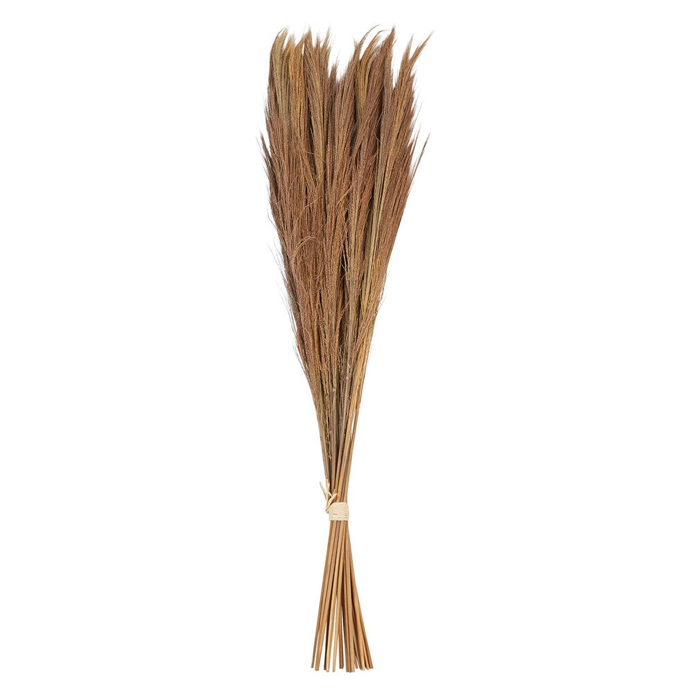 Approximately 40"H Dried Natural Tiger Grass Brunch