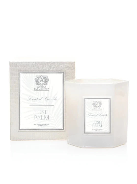 Lush Palm Candle 9oz