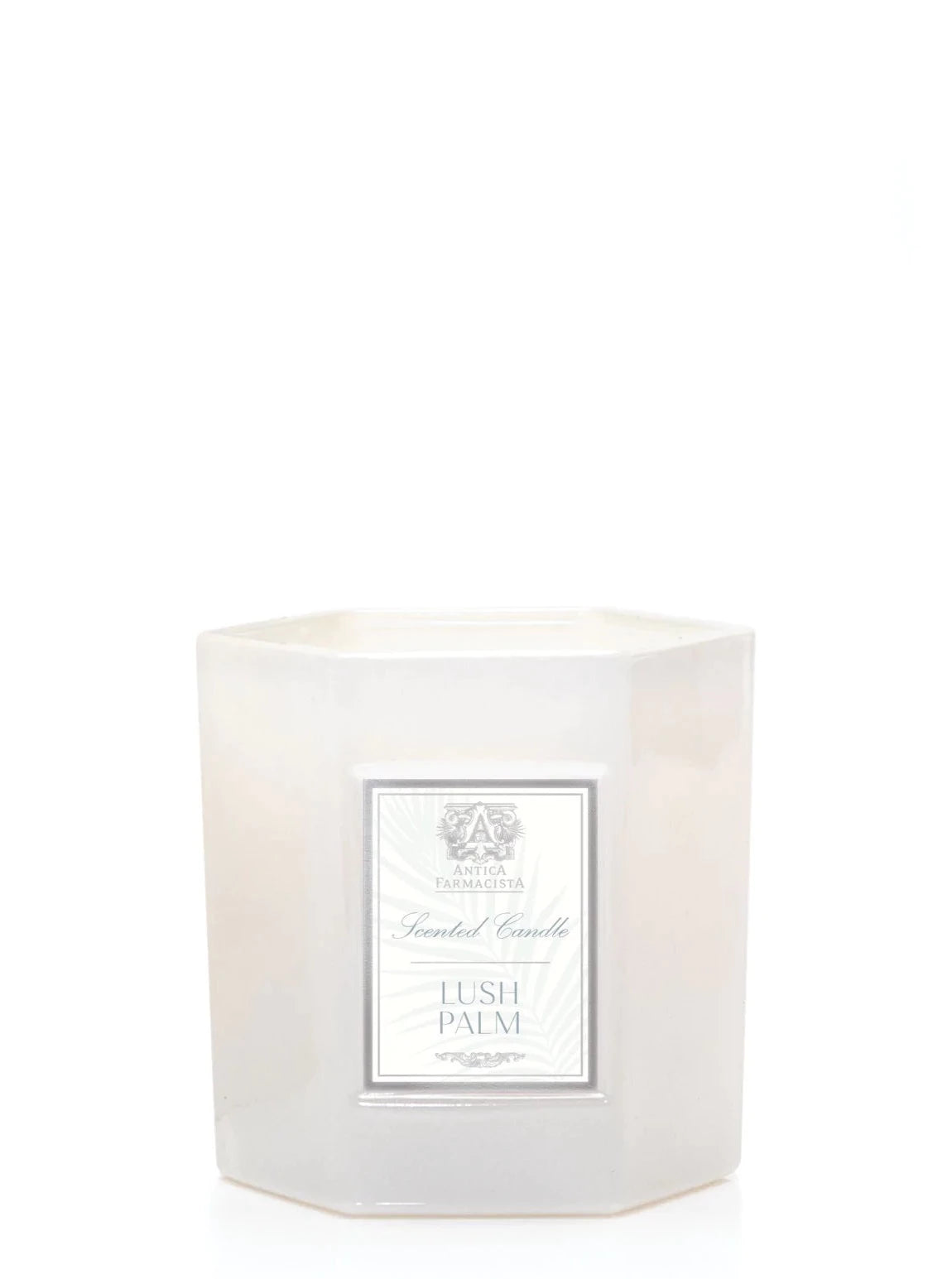 Lush Palm Candle 9oz