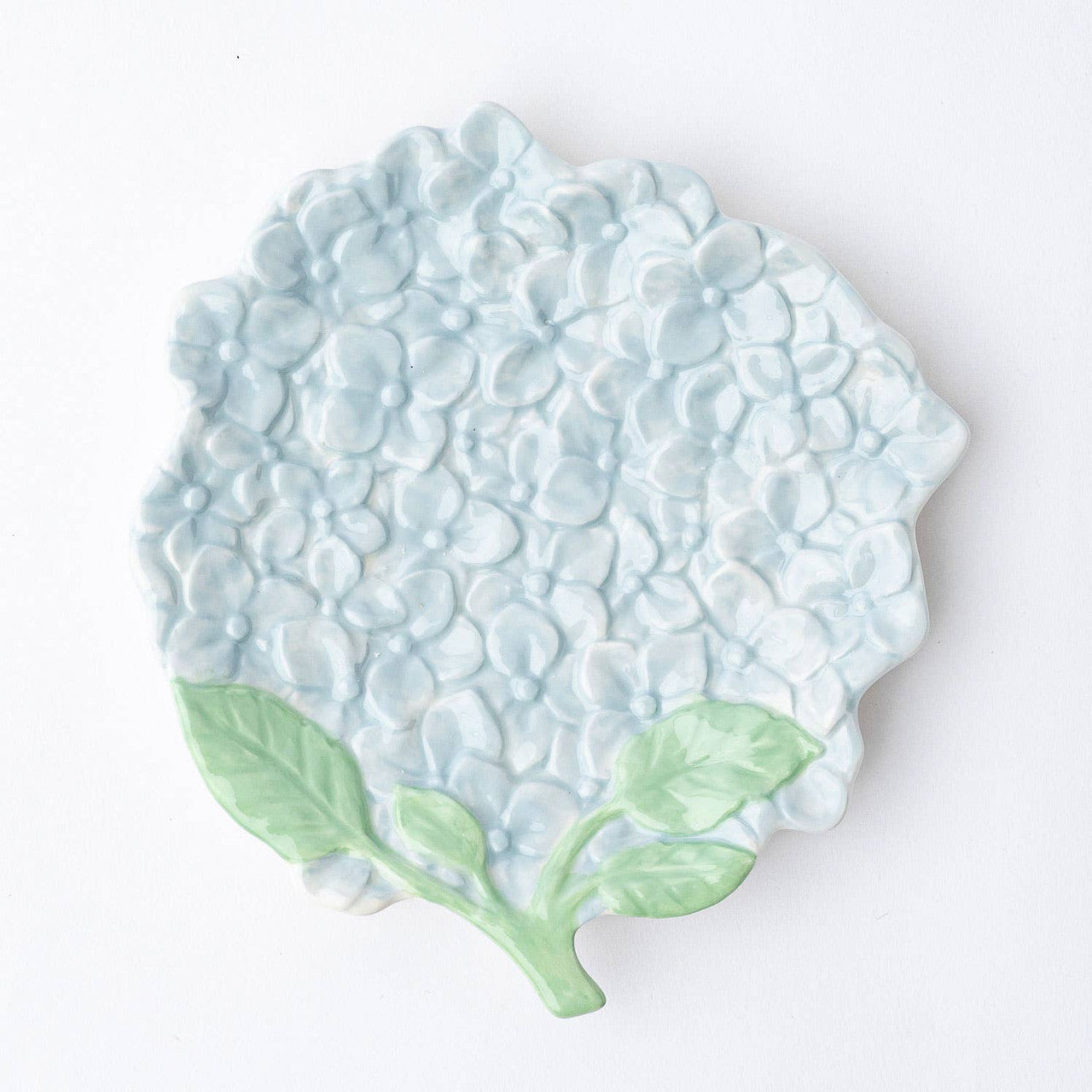 Platter Hydrangea