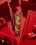 5 Replacement Scent Stems Christmas