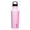 Sport Canteen 32Oz Sun Soaked Pink