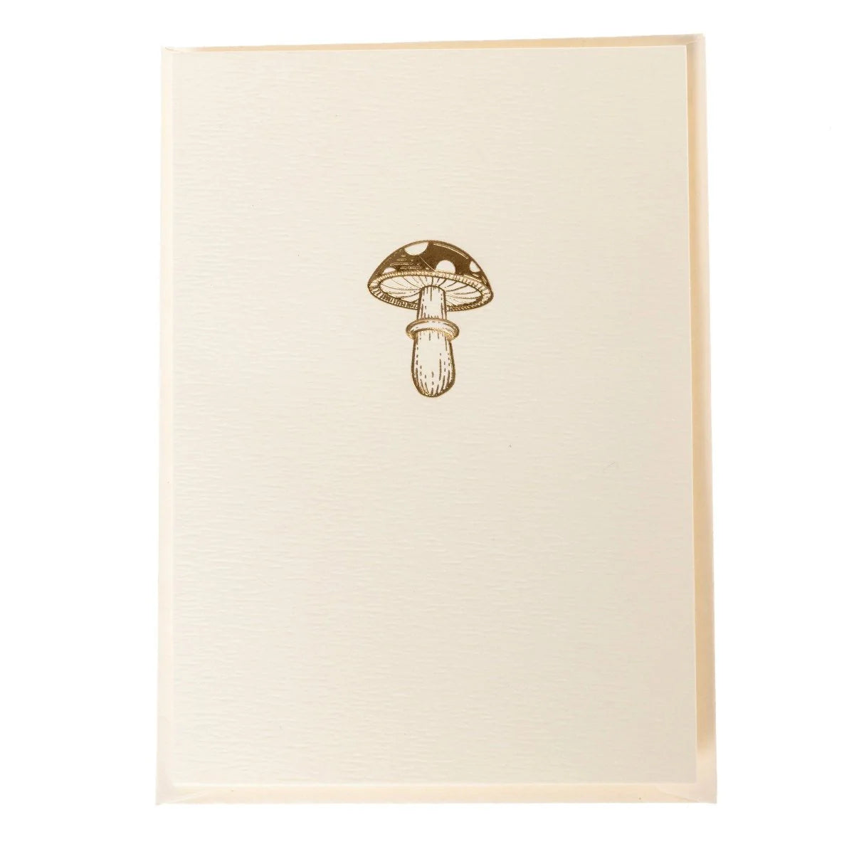 Mushrooms La Petite Presse Boxed Card