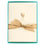 Pink Champagne La Petite Presse