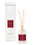 Boxed Diffuser Kit - Holiday Spice 8oz