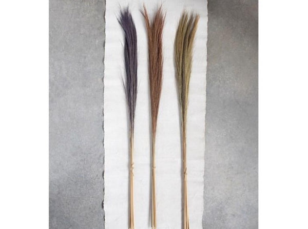 43"L Dried Cortaderia Argentea Bouquet