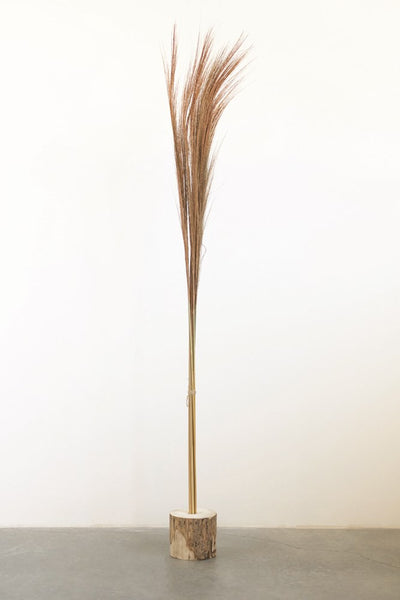 Approximately 40"H Dried Natural Tiger Grass Brunch