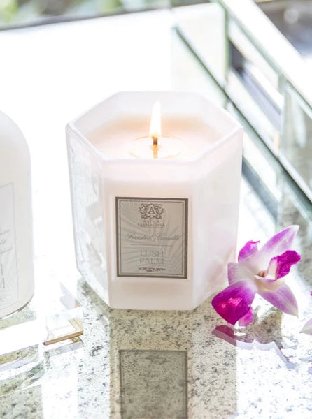 Lush Palm Candle 9oz
