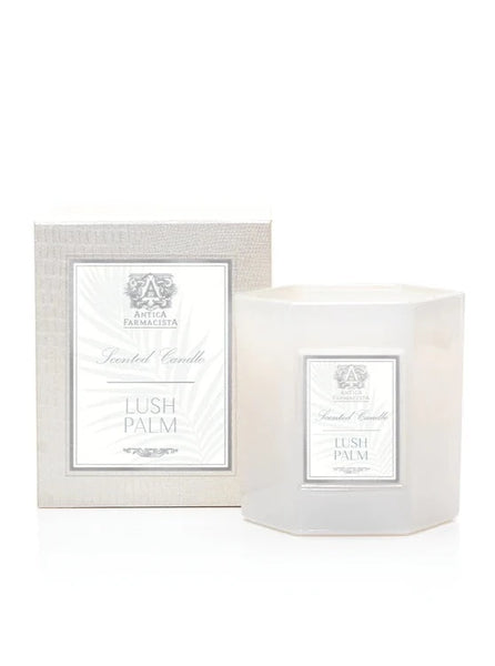 Lush Palm Candle 9oz