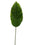 36″ Dieffenbachia Spray Green