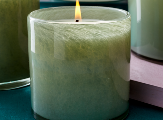 6.5Oz Fresh Cut Gardenia Classic Candle